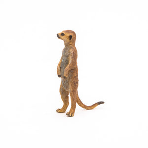 Standing Meerkat