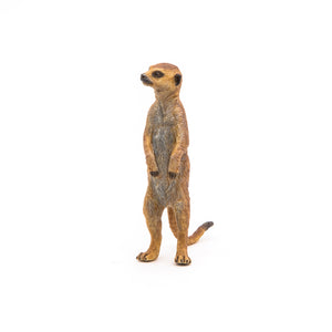 Standing Meerkat