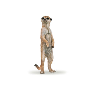 Standing Meerkat