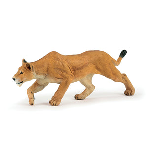 Lioness Chasing