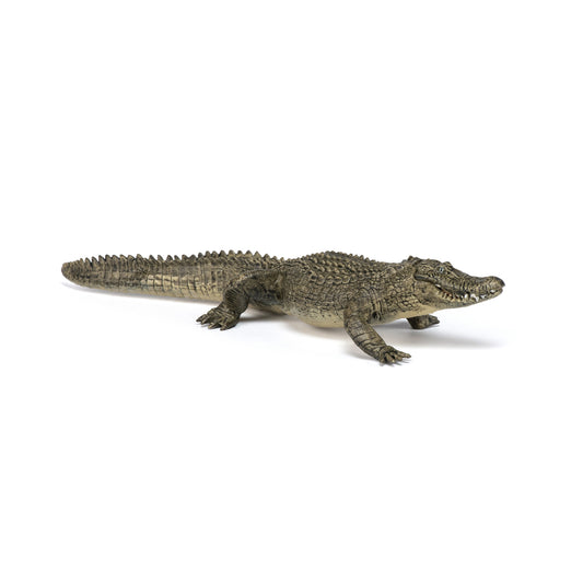 Papo Alligator