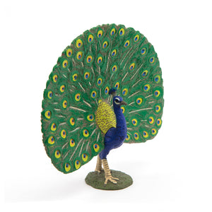 Papo Peacock