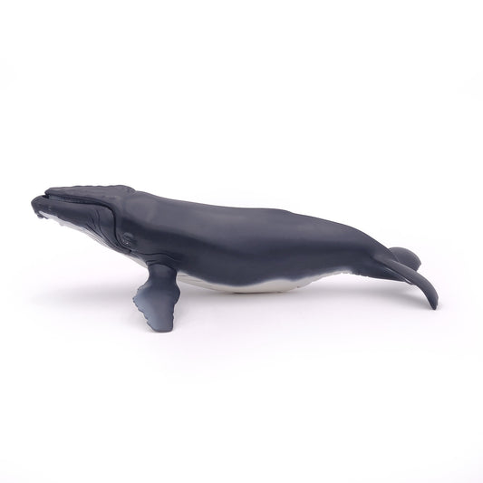 Papo Humpback Whale