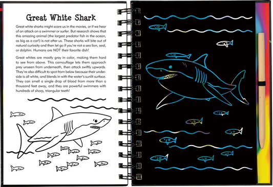 Sharks Scratch and Sketch