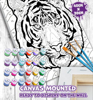 Tiger Jungle Paint By Numbers