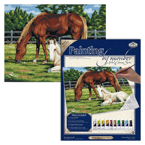 Painting By Numbers Canvas Set Horses In Field