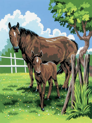 Painting By Numbers Junior Small - Mare & Foal