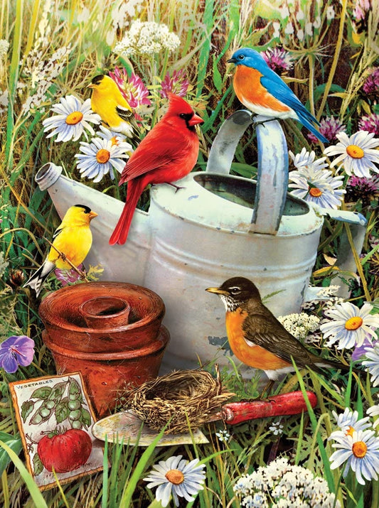 Paint By Numbers Junior Small Large Garden Birds