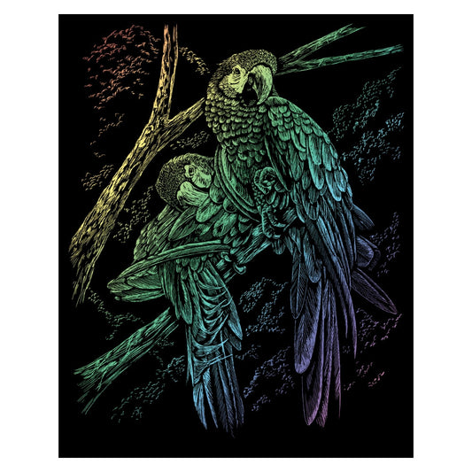 Rainbow Engraving Art Tropical Birds