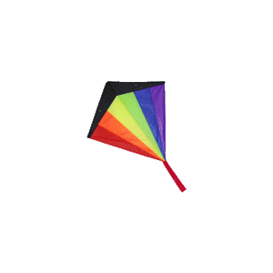 Sport Kite - Large Diamond Stunter